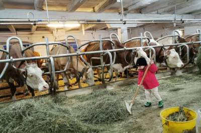 Unser Bio-Bauernhof hat eine lange Tradition