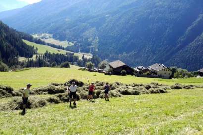 heuernte-taurerhof.jpg