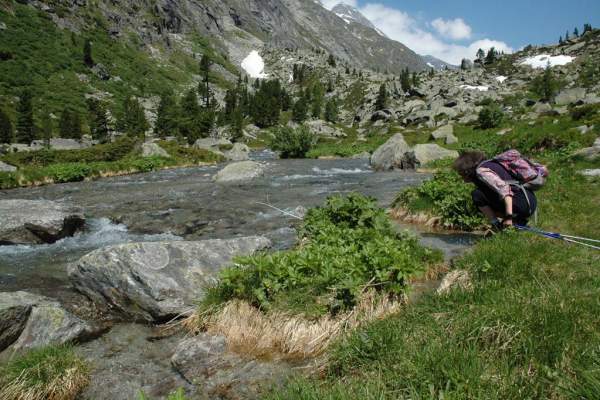 Sommerurlaub am Bio-Bauernhof