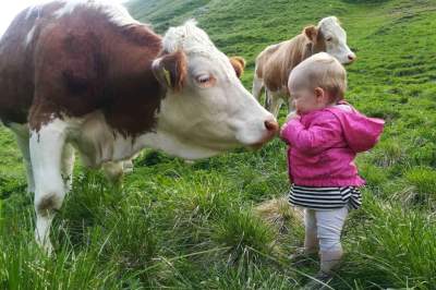 Unser Bio-Bauernhof hat eine lange Tradition